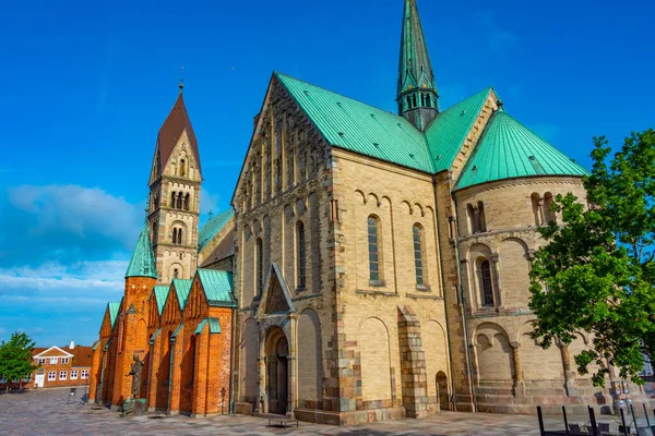 Utsikt Över Ribe Katedralen Danmark — Stockfoto