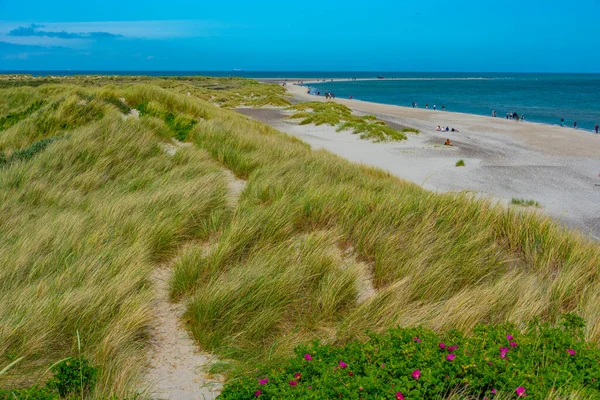 Stock image Grenen is Denmark's northernmost point and the tip of Skagens Odde.