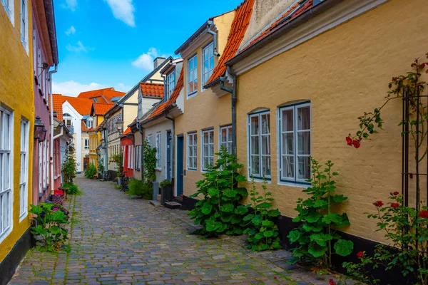 Strada Colorata Nella Città Danese Aalborg — Foto Stock