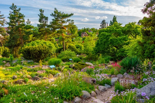 Århus Botaniska Trädgård Danmark — Stockfoto