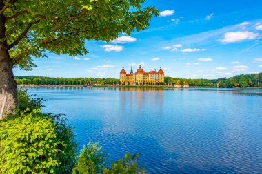 Almanya 'daki Moritzburg Kalesi Panorama Manzarası.