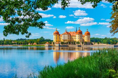 Almanya 'daki Moritzburg Kalesi Panorama Manzarası.