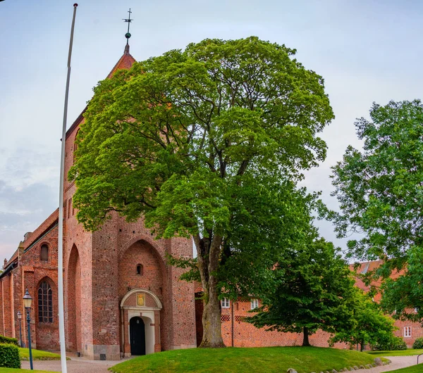 Catherine Priory Danish Town Ribe — Stock Photo, Image