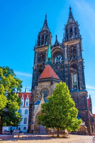 Собор Майссена Під Час Сонячного Дня Німеччині — стокове фото