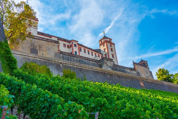 stock image Marienberg fortress in Wurzburg, Germany.