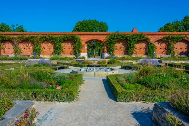 Alman şehri Ingolstadt 'taki gül bahçesi.