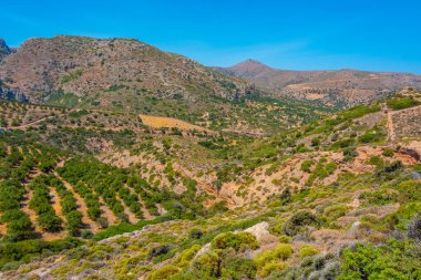 Yunan adası Girit 'in Hilly kırsalı.