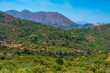 Yunan adası Girit 'in Hilly kırsalı.