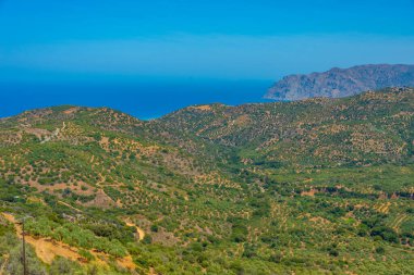 Yunan adası Girit 'in Hilly kırsalı.