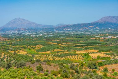 Yunan adası Girit 'in kırsal manzarası.