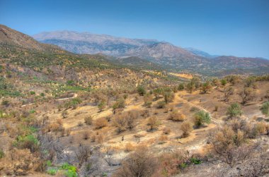 Yunan adası Girit 'in Hilly kırsalı.