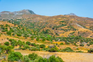 Yunan adası Girit 'in Hilly kırsalı.