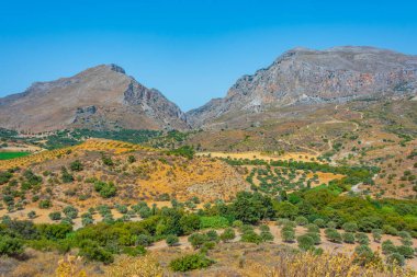 Yunan adası Girit 'in Hilly kırsalı.