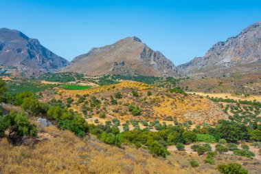 Yunan adası Girit 'in Hilly kırsalı.