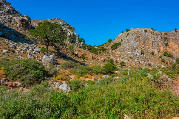 Veduta Della Gola Zakros Sull Isola Greca Creta — Foto Stock