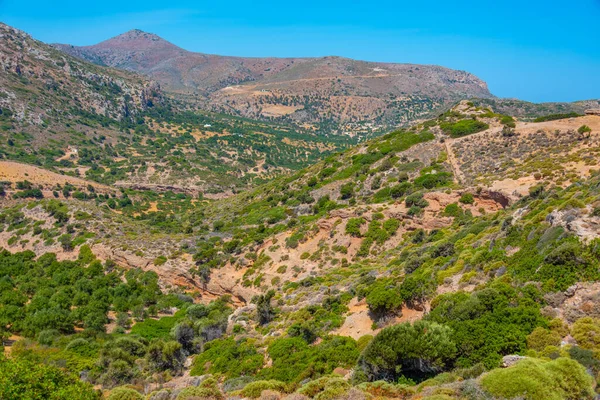 Yunan adası Girit 'in Hilly kırsalı.