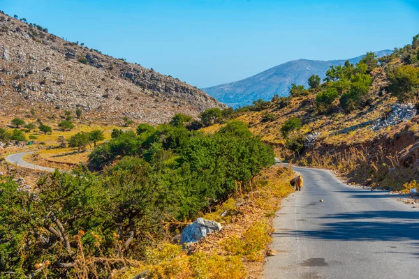 Ορεινή Διάβαση Που Οδηγεί Στο Οροπέδιο Λασιθίου Στην Κρήτη — Φωτογραφία Αρχείου
