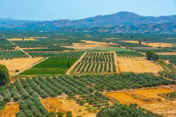 Yunan adası Girit 'in kırsal manzarası.