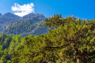 Yunan adası Girit 'te Samarya geçidi.