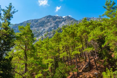 Yunan adası Girit 'te Samarya geçidi.
