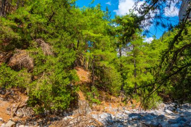 Yunan adası Girit 'te Samarya geçidi.