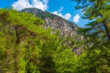 Yunan adası Girit 'te Samarya geçidi.
