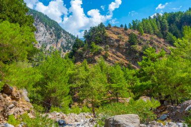 Yunan adası Girit 'te Samarya geçidi.