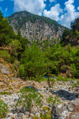 Yunan adası Girit 'te Samarya geçidi.