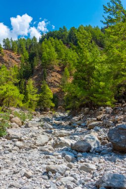 Yunan adası Girit 'te Samarya geçidi.