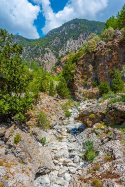 Yunan adası Girit 'te Samarya geçidi.