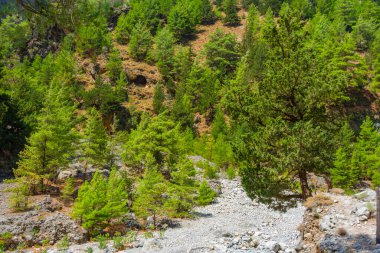 Yunan adası Girit 'te Samarya geçidi.
