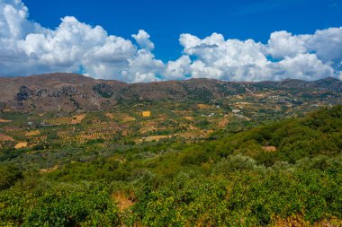 Yunan adası Girit 'in tarım manzarası manzarası.