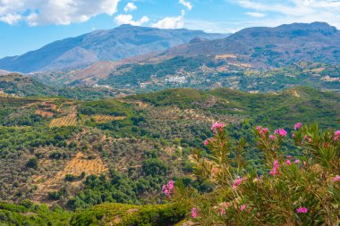 Yunan adası Girit 'in Hilly kırsalı.