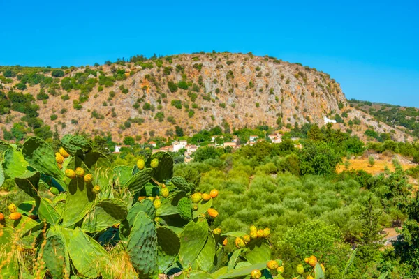 Пейзаж Гірського Села Грецькому Острові Крит — стокове фото