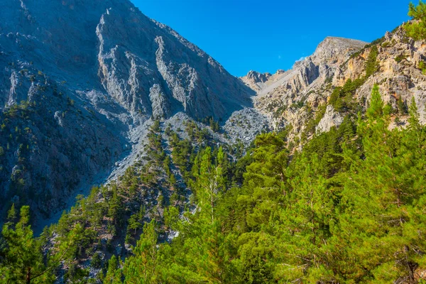Ущелина Самарія Грецькому Острові Крит — стокове фото