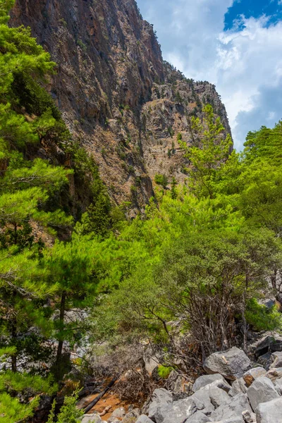 Samaria Desfiladeiro Ilha Grega Creta — Fotografia de Stock