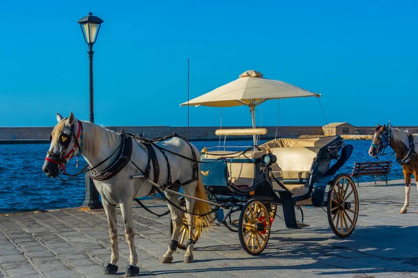 Horse Carriage Venetian Port Chania Greece Stock Image
