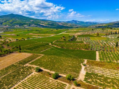 Yunanistan 'daki Mora yarımadasının tarım manzarası.