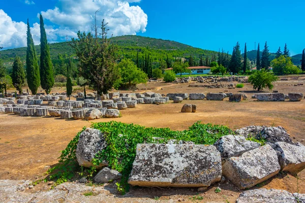 Ruinas Del Templo Zeus Complejo Antiguo Nemea Grecia —  Fotos de Stock