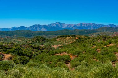 Yunanistan 'daki Mora yarımadasının vahşi manzarası.