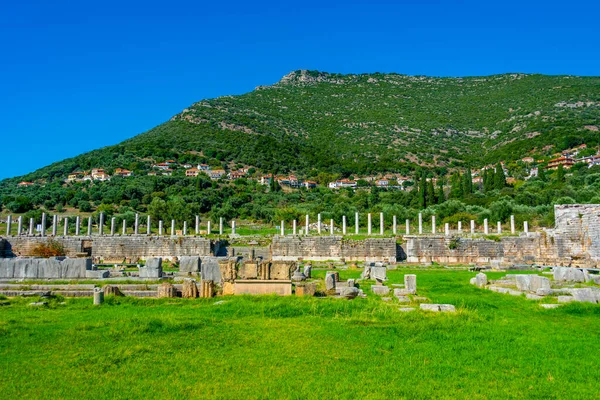 Asklepieion Site Archéologique Messini Antique Grèce — Photo
