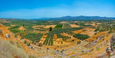 Yunan adası Girit 'in kırsal manzarası.