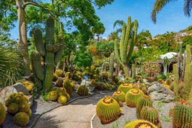 Forli, Ischia, İtalya 'daki Giardini Ravino bahçelerinde sulu ve kaktüsler.