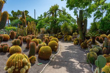 Forli, Ischia, İtalya 'daki Giardini Ravino bahçelerinde sulu ve kaktüsler.