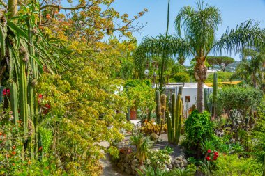 Forli, Ischia, İtalya 'daki Giardini Ravino bahçelerinde sulu ve kaktüsler.
