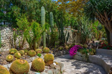 Forli, Ischia, İtalya 'daki Giardini Ravino bahçelerinde sulu ve kaktüsler.