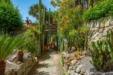 Forli, Ischia, İtalya 'daki Giardini Ravino bahçelerinde sulu ve kaktüsler.