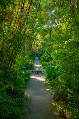 İtalya, Ischia 'daki Giardini la Mortella bahçelerindeki çeşme..