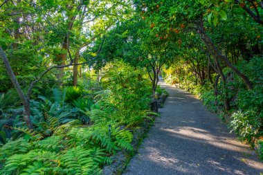 İtalya, Ischia 'daki Giardini la Mortella bahçelerinin manzarası..