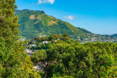 Monte Epomeo Dağı İtalyan adası Ischia 'da.